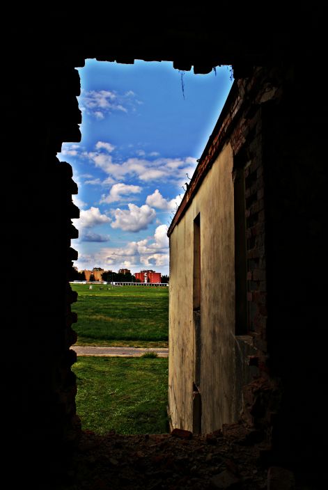 dsc08701a.jpg